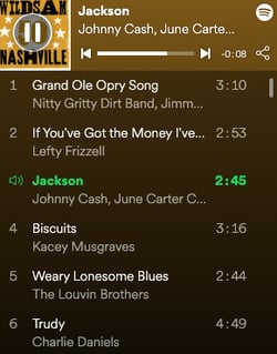 Playlist_-_Nashville_—_WILDSAM_🔊